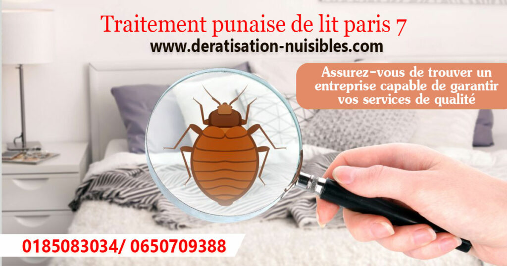 Dératisation-Nuisibles-Traitement-punaise-de-lit-paris-6 paris france