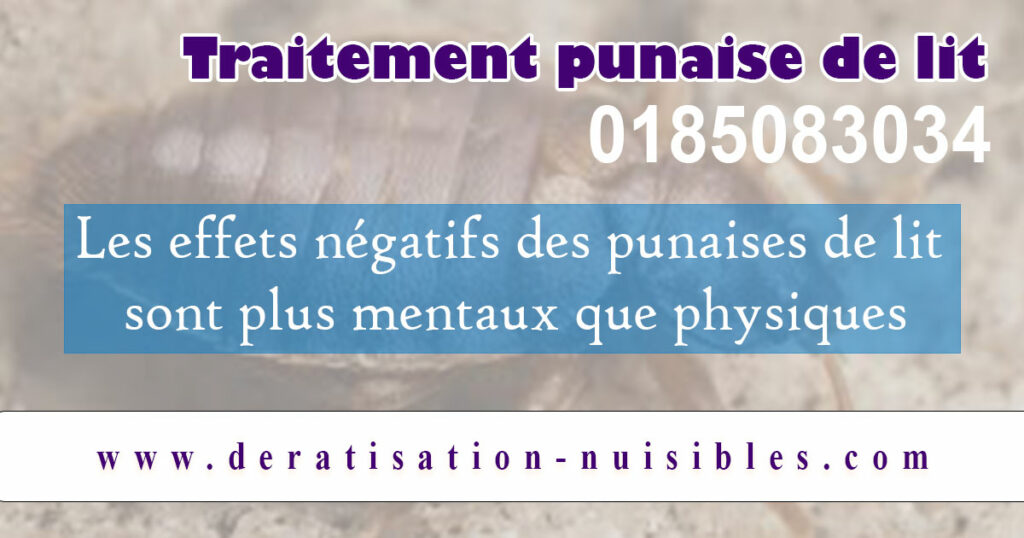 Punaises de lit deratisation-nuisibles