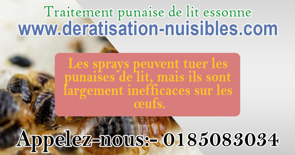 tement punaise de lit Essonne deratisation-nuisibles