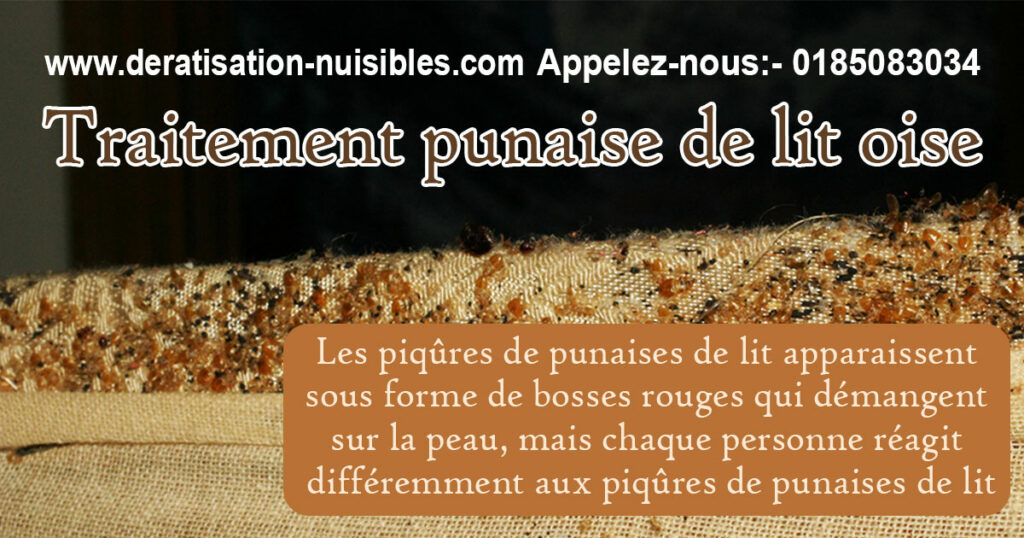 Traitement punaise de lit Oise deratisation-nuisibles