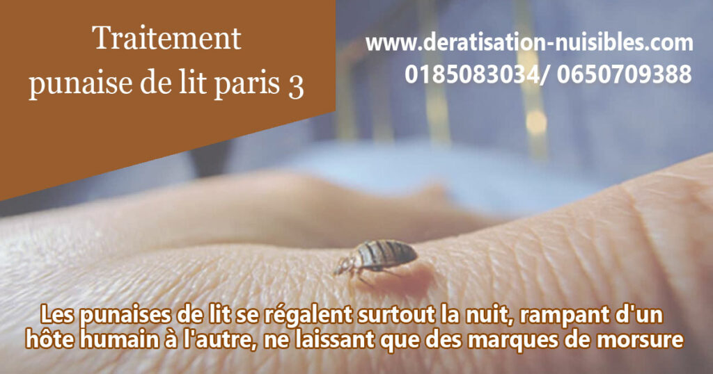 Traitement punaise de lit paris 3 75003